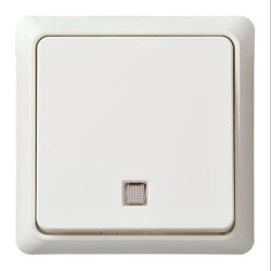 ELSO UP-Wechselkontrollschalter 241624 10A RENOVIERUNG...