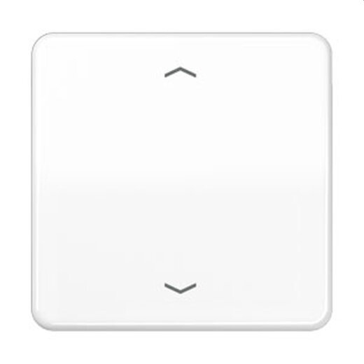 Jung LB-Management Taster 1fach, mit Pfeilsymbolen, Duroplast, Serie CD, alpinweiß CD1700PWW