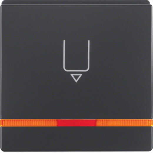 Berker Hotelcard-Schaltaufsatz 16406086 anthrazit samt 16406086