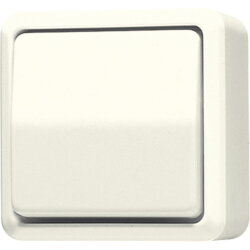 Jung Wippschalter, Kreuz, 10 AX 250 V ~, AP 600,...