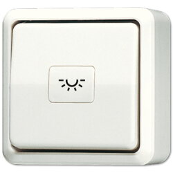 Jung Taster, 1-pol. Schließer, 10 A 250 V ~, AP...