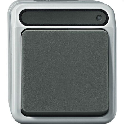 Merten Kontrollschalter 2polig lichtgrau, MEG3102-8029