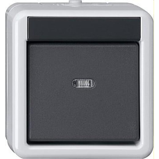 Gira Taster 515130 KNX/EIB 1fach BA WG AP 1 LED gr