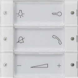 Gira Taster 850003 Wohnungsstation System 55 klar