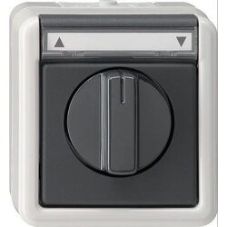 Gira Jalousieschalter 015430 1polig AP WG grau