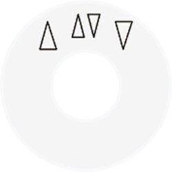 Jung Skalenscheibe, mit Pfeilsymbolen, alpinweiß...