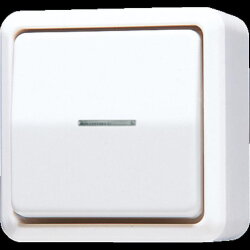 Jung Wipp-Kontrollschalter, Universal Aus-Wechsel, 10 AX...