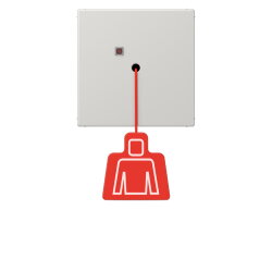 Jung Notrufsystem Zugtaster, Serie LS, lichtgrau...