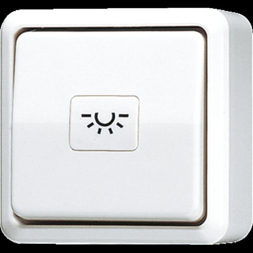 Jung Taster, 1-pol. Schließer, 10 A 250 V ~, AP 600, alpinweiß 631AWW