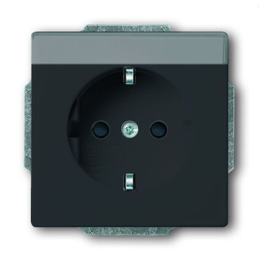 Busch-Jaeger Steckdoseneinsatz SCHUKO 20 EUCNB-81