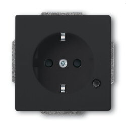 Busch-Jaeger Steckdoseneinsatz SCHUKO 20 EUCBL-81