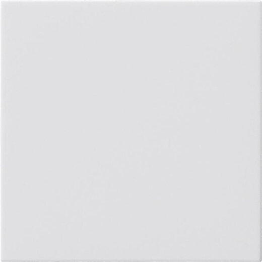 Gira Blindabdeckung 810803 o.Tragring System 55 reinweiww 810803