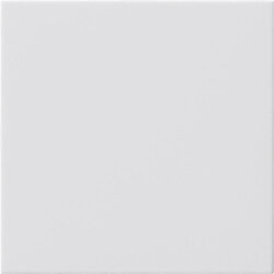 Gira Blindabdeckung 810803 o.Tragring System 55 reinweiww...