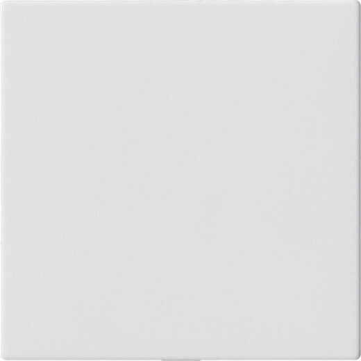 Gira Blindabdeckung 810827 o. Tragring System 55 reinweiss 810827