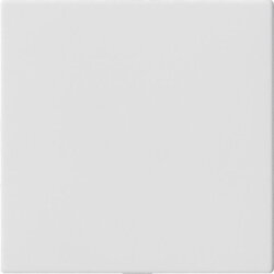 Gira Blindabdeckung 810827 o. Tragring System 55...