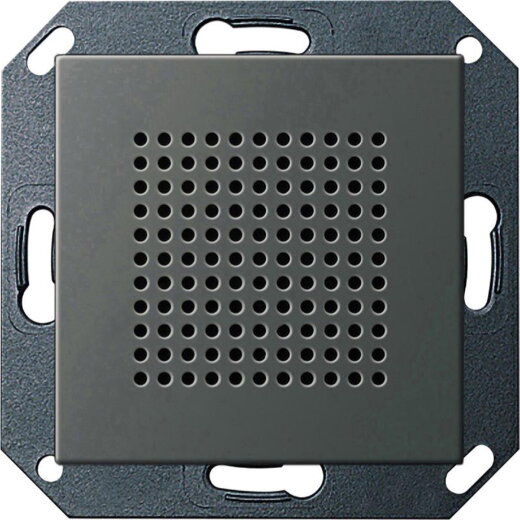 Gira UP-Radio 2282600 RDS Lautsprecher 55 Edelstahl 2282600