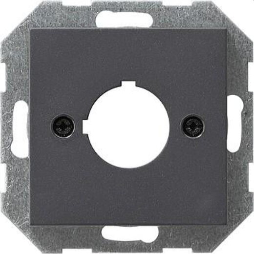 Gira Abdeckung 027228 +Tragring Geraete System 55 Ant