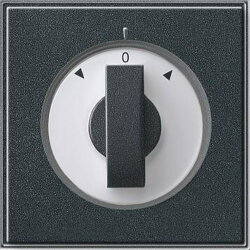 Gira Abdeckung 066667 Knebel Jalousie TX_44 (WG UP) Ant