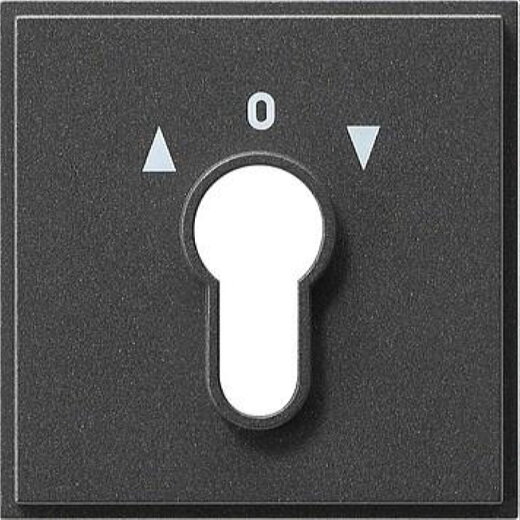 Gira Abdeckung 066467 Schluesselsch. TX_44 WG UP Ant