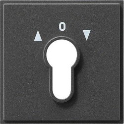 Gira Abdeckung 066467 Schluesselsch. TX_44 WG UP Ant