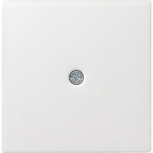 Gira Abdeckung 027427 Schnurabl + VDO 55 rw matt