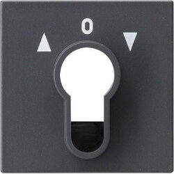 Gira Abdeckung 066428 Schluesselschalter System 55 ant