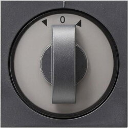 Gira Abdeckung 066628 Knebel Zeit+Jalousie System55 Ant