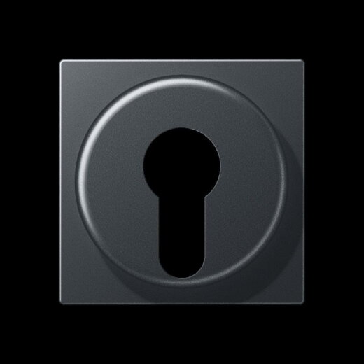 Jung Abdeckung für Schlüsselschalter mit Demontageschutz, Thermoplast lackiert, Serie A, anthrazit matt A528PLANM