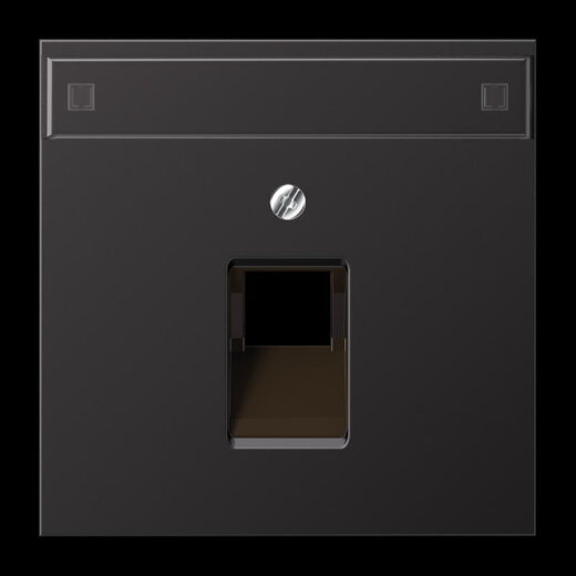 Jung Abdeckung für IAE/UAE-Anschlussdosen 1 x 8-polig, mit Schriftfeld, Aluminium lackiert, Serie LS, dark AL2969-1NAUAD