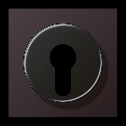Jung Abdeckung für Schlüsselschalter mit Demontageschutz, Aluminium lackiert, Serie LS, dark (lackiertes Aluminium) AL2928D