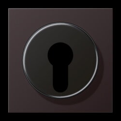 Jung Abdeckung für Schlüsselschalter mit...