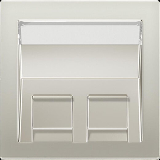 Jung Abdeckung für Montageadapter 30° 2fach, mit Schriftfeld, Thermoplast lackiert, Serie LS, Edelstahl ES569-30BFPL-L