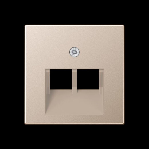 Jung Abdeckung für IAE/UAE-Anschlussdosen 2 x 8-polig, Thermoplast lackiert, Serie A, champagner A569-2BFPLUACH