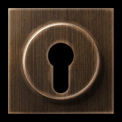 Jung Abdeckung für Schlüsselschalter mit...