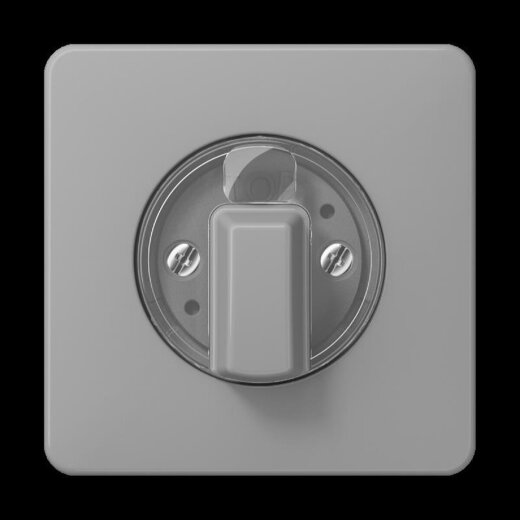 Jung Abdeckung für Drehschalter, Duroplast, Serie CD, grau CD1541GR