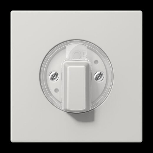 Jung Abdeckung für Drehschalter, Duroplast, Serie LS, lichtgrau LS1941LG