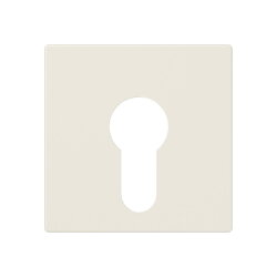 Jung Abdeckung für Schlüsselschalter ohne...