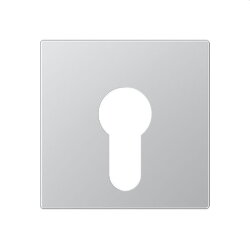 Jung Abdeckung für Schlüsselschalter ohne...