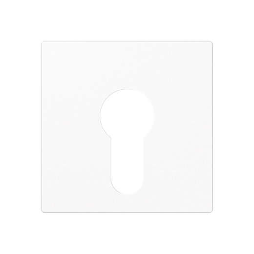 Jung Abdeckung für Schlüsselschalter ohne Demontageschutz, Thermoplast, Serie AS/A, alpinweiß A525PLWW