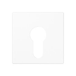 Jung Abdeckung für Schlüsselschalter ohne...