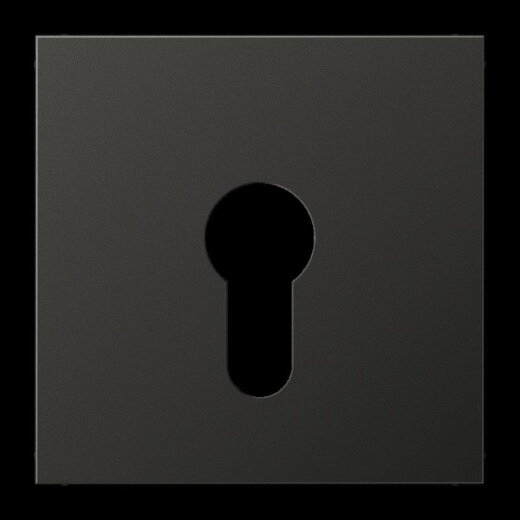 Jung Abdeckung für Schlüsselschalter ohne Demontageschutz, Aluminium lackiert, Serie LS, anthrazit (lackiertes Aluminium) AL2925AN