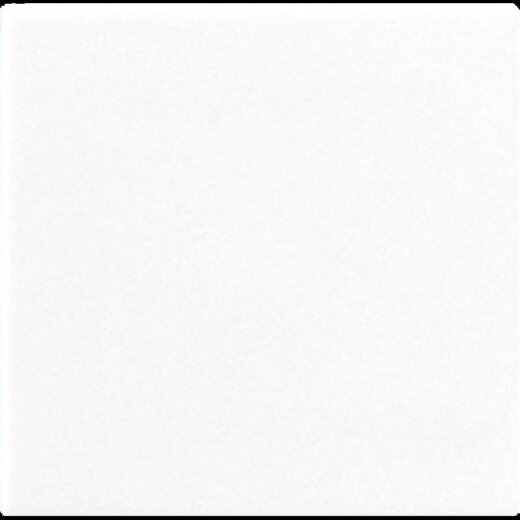 Jung Blind-Abdeckung (gerastet) Zentralplatte, Thermoplast, Serie CD, alpinweiß CD594-0PLWW