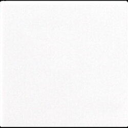 Jung Blind-Abdeckung (gerastet) Zentralplatte,...