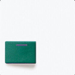 Jung Abdeckung für Ackermann, Typ 73642 C,...