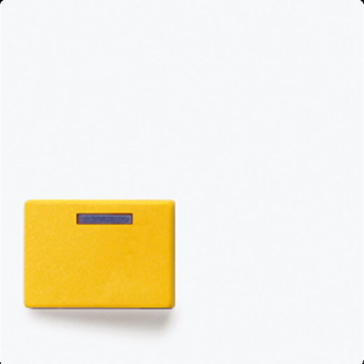 Jung Abdeckung für Ackermann, Typ 73642 D, gelb, Serie AS/A, alpinweiß A642DWW