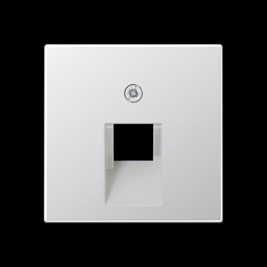 Jung Abdeckung für IAE/UAE-Anschlussdosen 1 x 8-polig, Serie A, aluminium A569-1PLUAAL