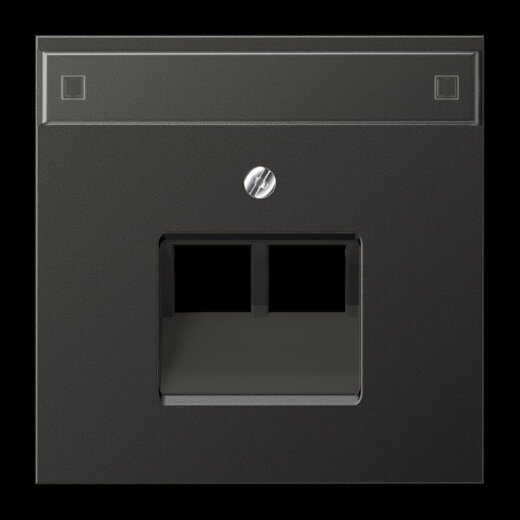 Jung Abdeckung für IAE/UAE-Anschlussdosen 2 x 8-polig, mit Schriftfeld, Aluminium lackiert, Serie LS, anthrazit AL2969-2NAUAAN