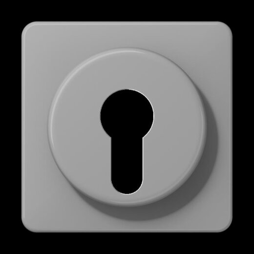 Jung Abdeckung für Schlüsselschalter mit Demontageschutz, Thermoplast, Serie CD, grau CD528GR