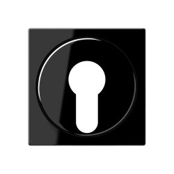 Jung Abdeckung für Schlüsselschalter mit...