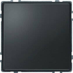 Merten Blindabdeckung 348314 anthrazit AQUADESIGN